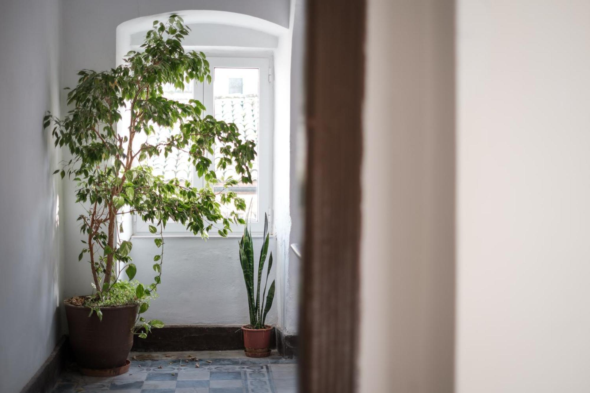 Appartement Crystal